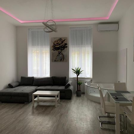 Luxury Apartment In The Central بودابست المظهر الخارجي الصورة